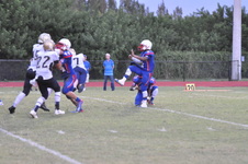 Enlarge photo 733