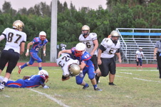Enlarge photo 740