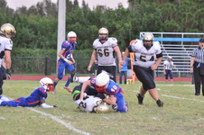 Enlarge photo 741