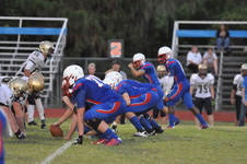 Enlarge photo 779