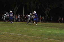 Enlarge photo 252
