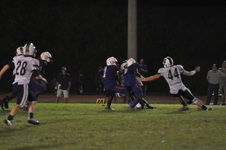 Enlarge photo 135