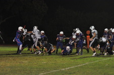 Enlarge photo 151