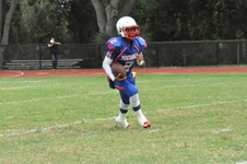 Enlarge photo 525