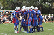 Enlarge photo 528