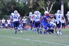 Enlarge photo 535