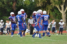 Enlarge photo 537