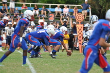 Enlarge photo 538