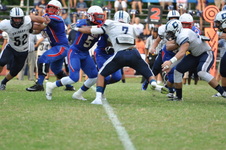 Enlarge photo 543