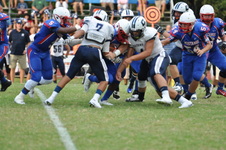 Enlarge photo 544