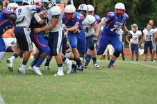 Enlarge photo 545