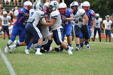 Enlarge photo 547