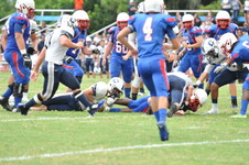 Enlarge photo 409