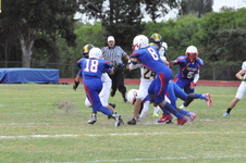 Enlarge photo 42