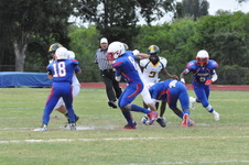 Enlarge photo 43