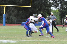 Enlarge photo 44