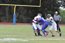 Enlarge photo 45