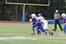 Enlarge photo 46