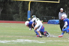 Enlarge photo 47