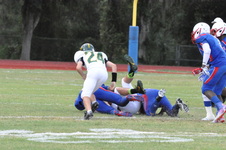 Enlarge photo 48