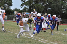 Enlarge photo 51