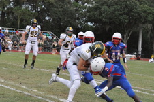 Enlarge photo 53
