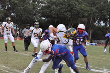 Enlarge photo 54