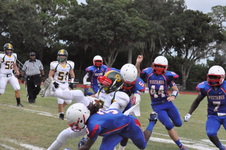 Enlarge photo 55