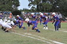 Enlarge photo 59