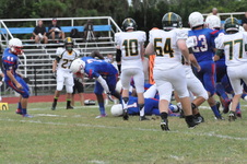 Enlarge photo 65