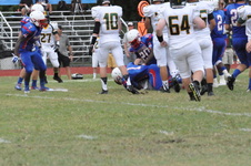 Enlarge photo 67