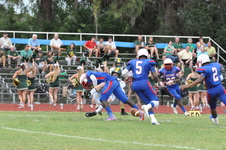 Enlarge photo 70