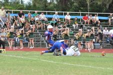 Enlarge photo 72