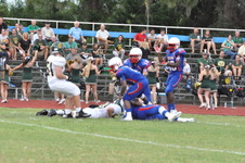 Enlarge photo 73