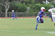Enlarge photo 79