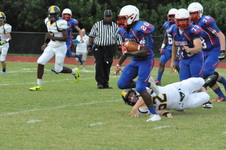 Enlarge photo 107
