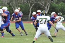 Enlarge photo 115