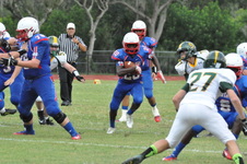 Enlarge photo 116