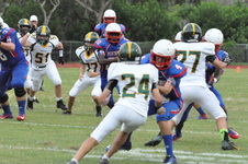 Enlarge photo 118