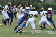 Enlarge photo 119
