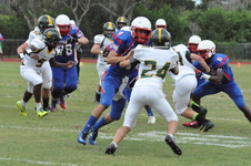Enlarge photo 120