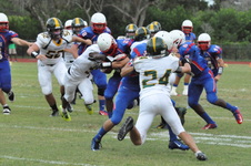 Enlarge photo 121