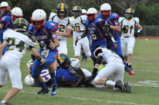Enlarge photo 123