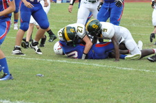 Enlarge photo 124