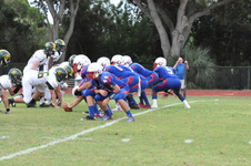 Enlarge photo 151