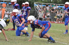 Enlarge photo 163