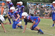 Enlarge photo 164