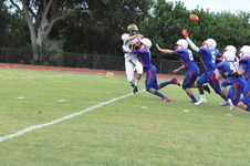 Enlarge photo 170