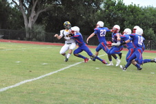 Enlarge photo 171