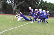 Enlarge photo 172
